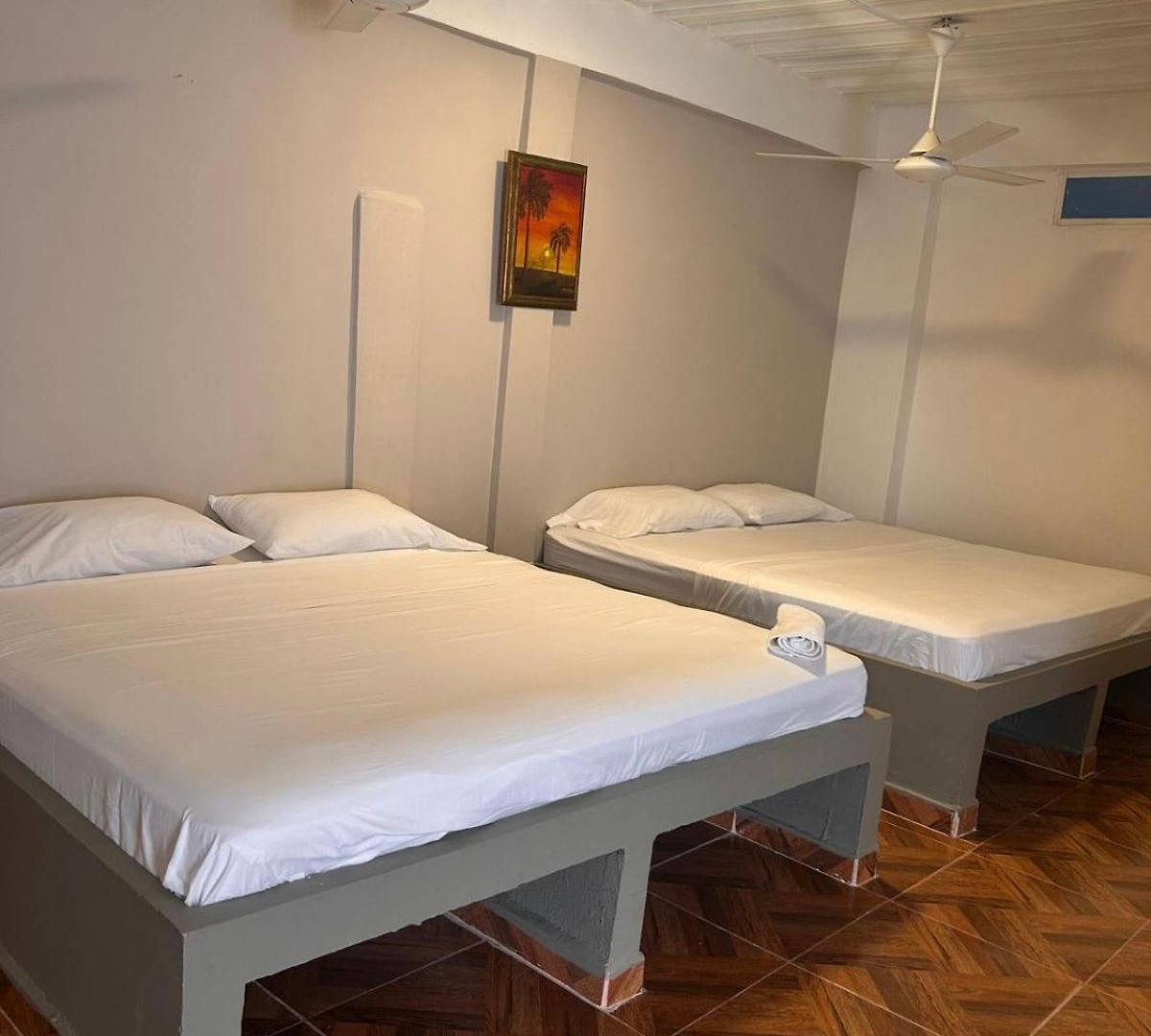 Palmera Nueva Administración Hotel Cartagena