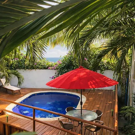 Palmera