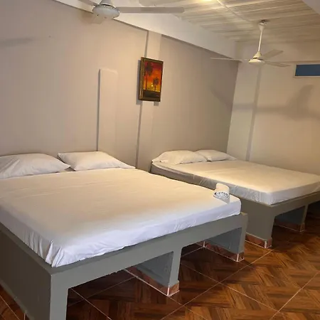 Palmera Nueva Administración Hotel Cartagena