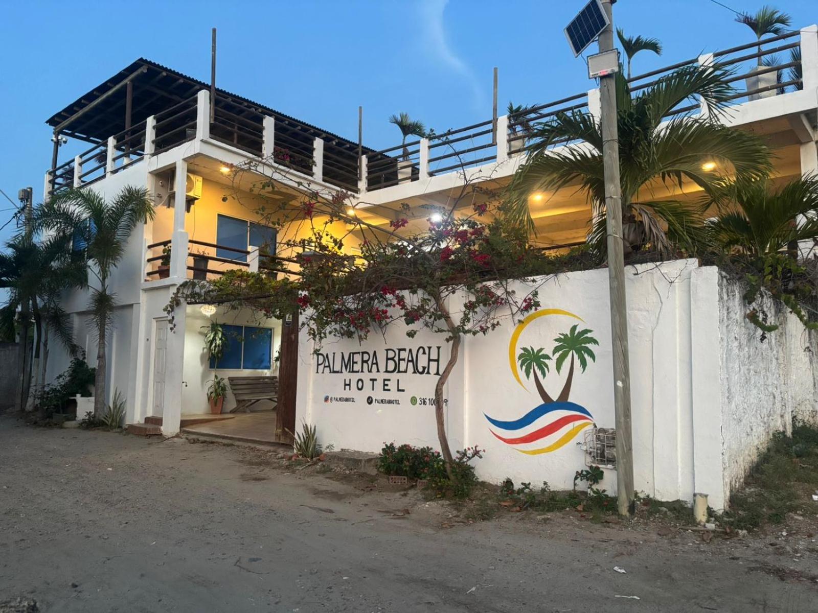 Palmera Cartagena